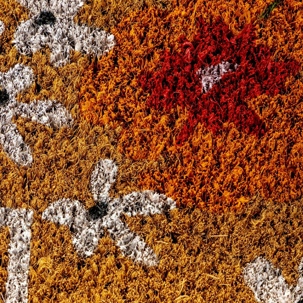 Plow & Hearth Spring Welcome Coir Doormat