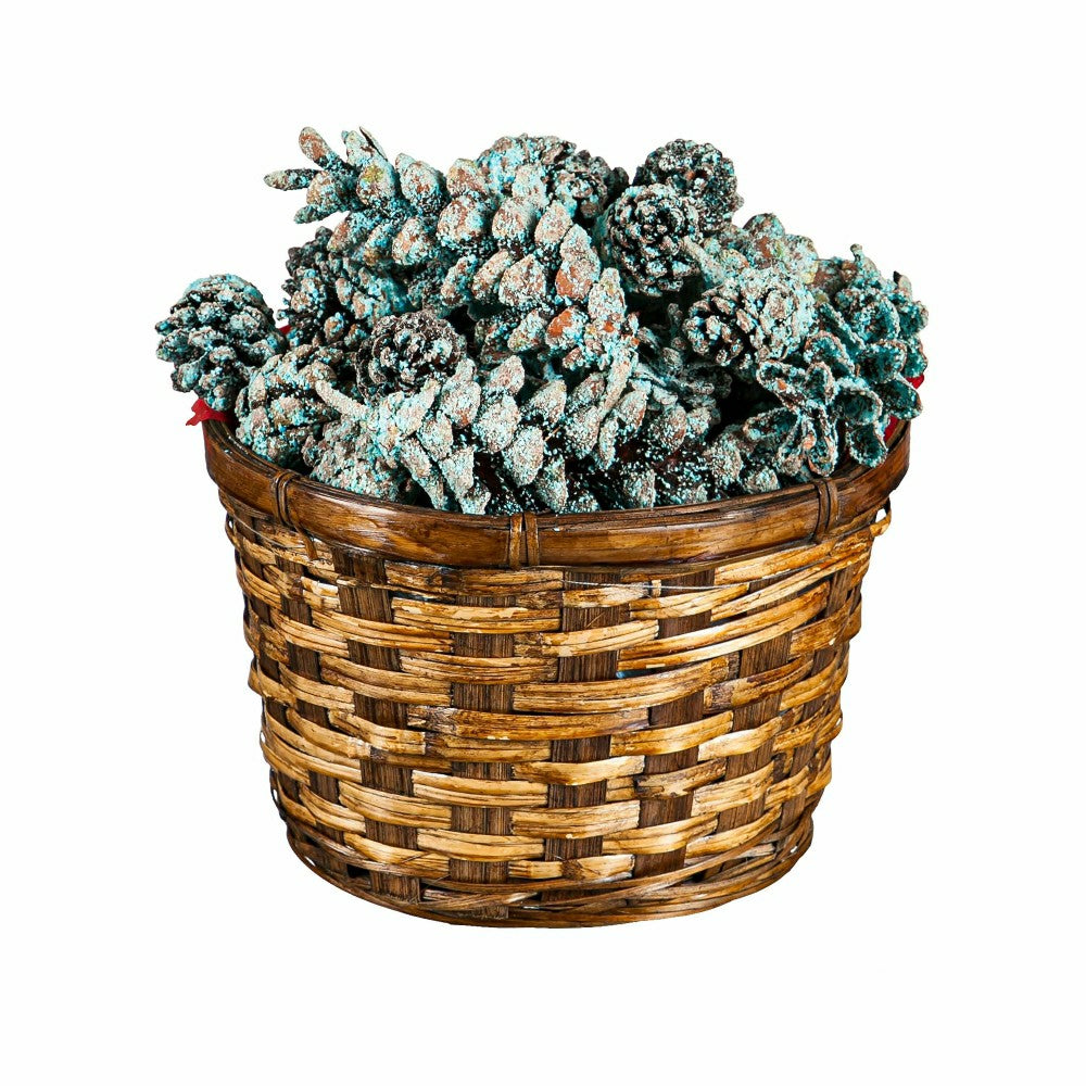 Plow & Hearth Color-Changing Fireplace Color Cones, 1 lb. in Gift Basket
