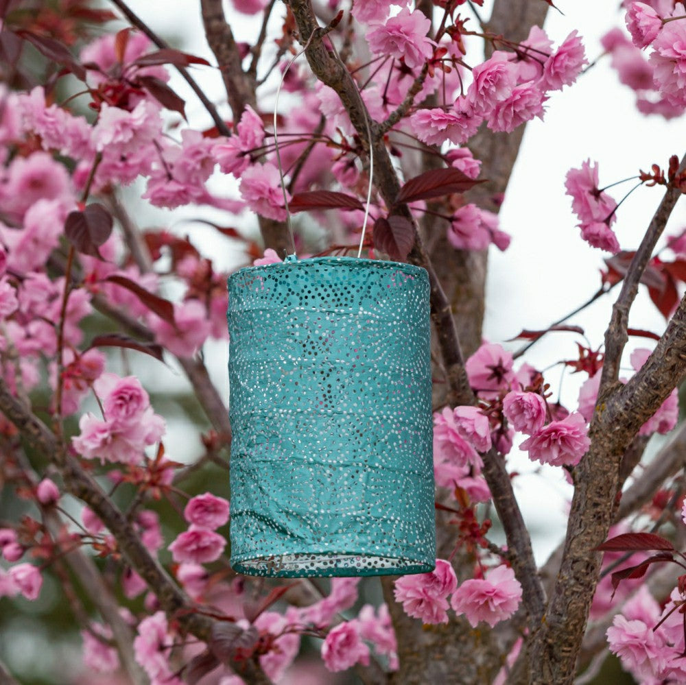 Plow & Hearth Soji Stella - Cylinder - 7.5" Solar Lantern
