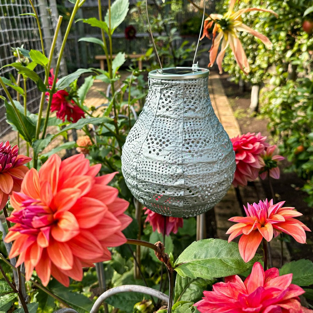 Plow & Hearth Soji Stella - Bulb - 8" Solar Lantern