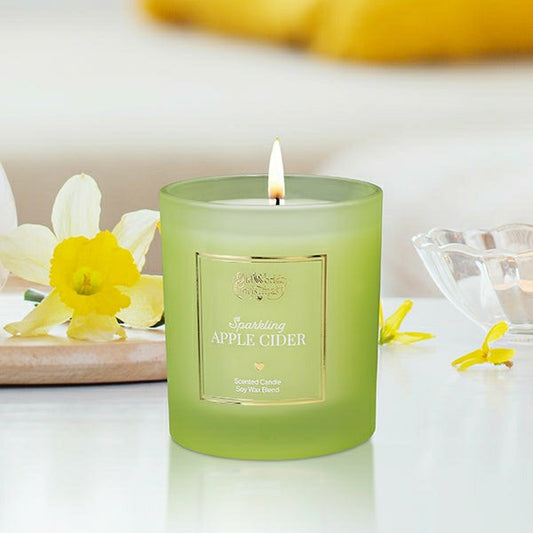 Plow & Hearth Sparkling Apple Cider Candle