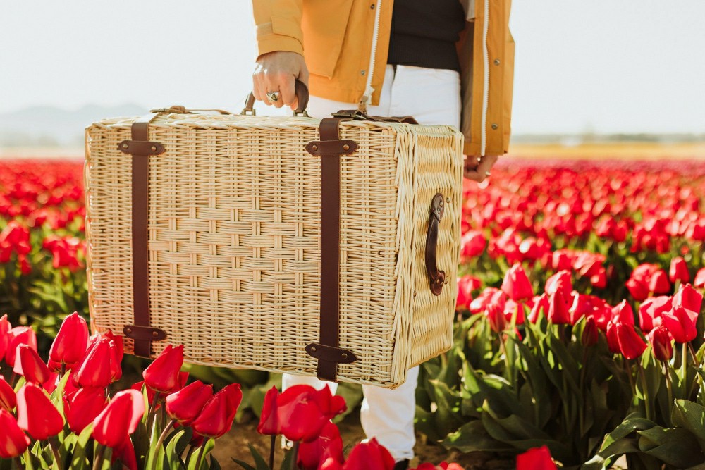 Plow & Hearth Charleston Picnic Basket