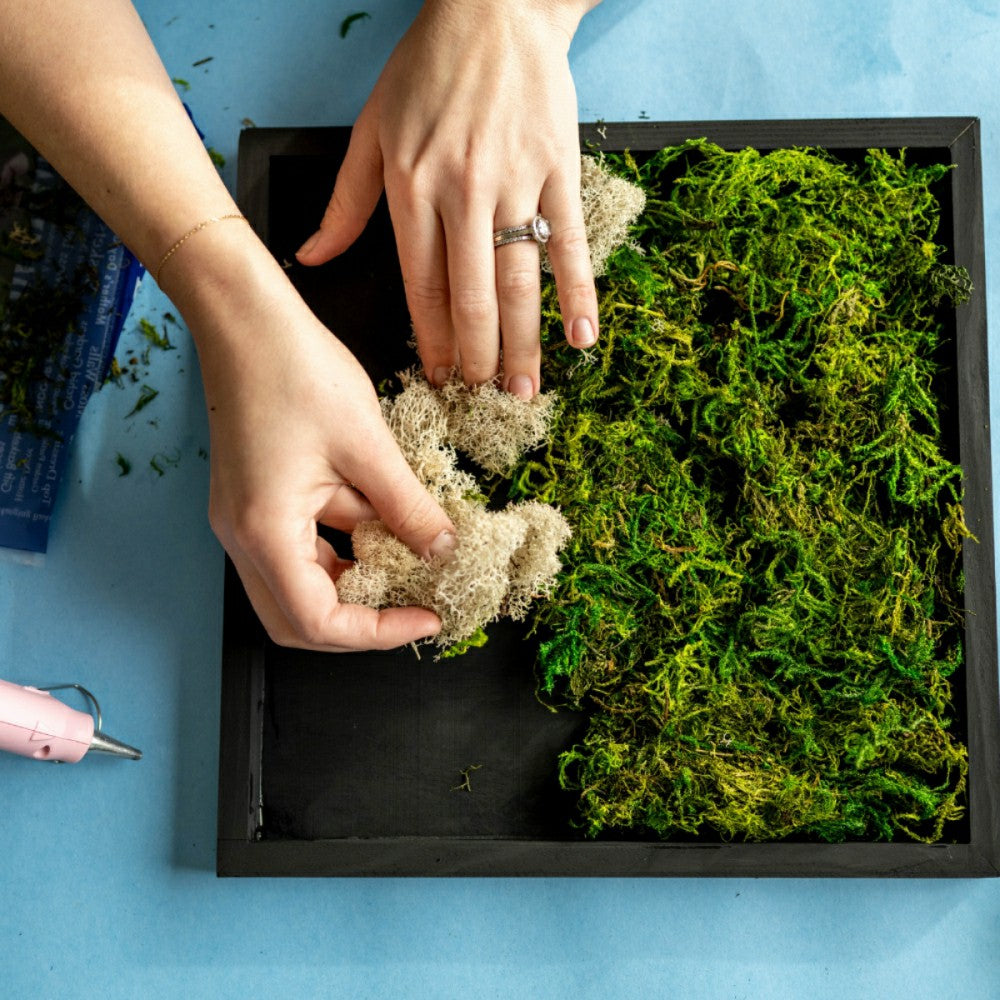 Plow & Hearth Moss Wall Kit