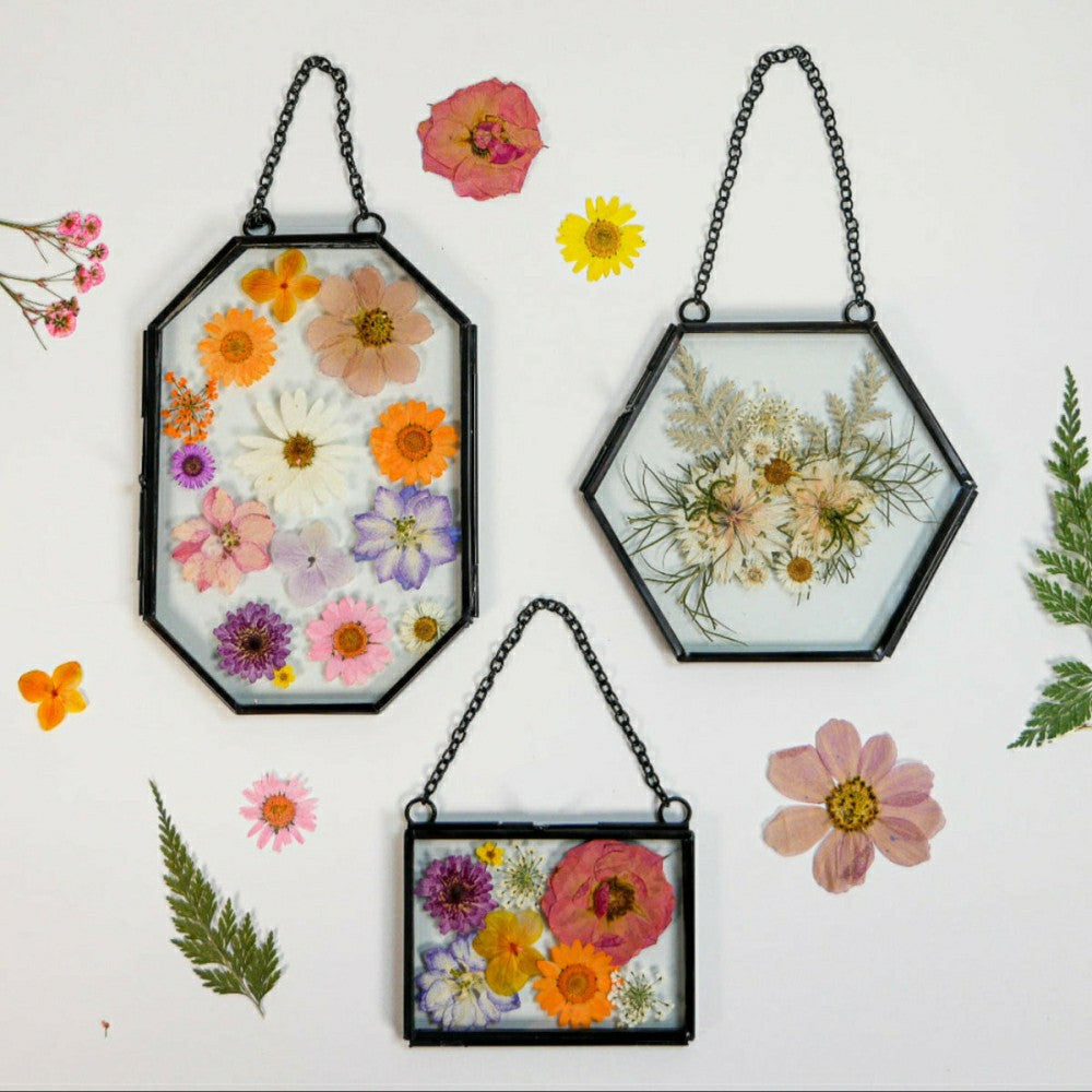 Plow & Hearth Framed Pressed Flowers Kit