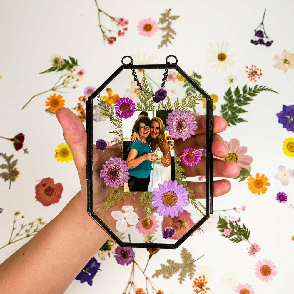 Plow & Hearth Framed Pressed Flowers Kit