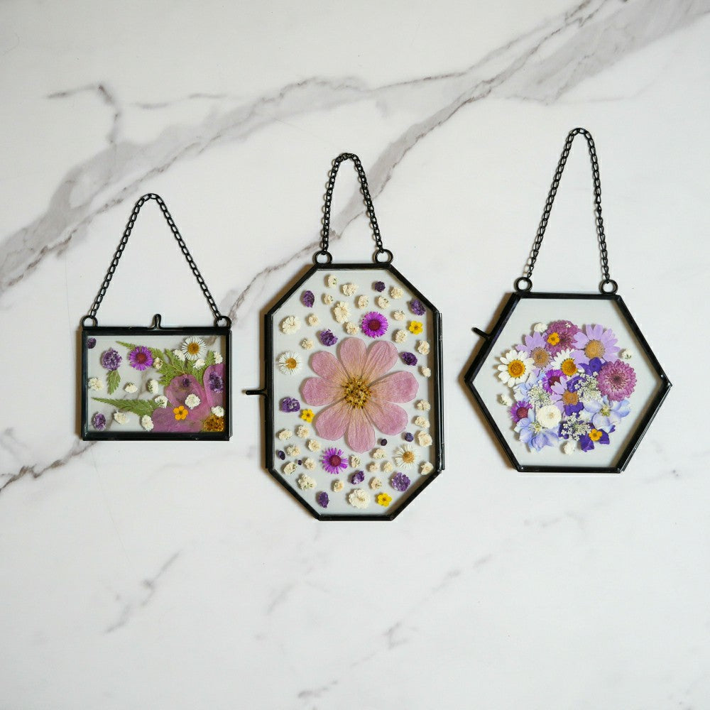 Plow & Hearth Framed Pressed Flowers Kit