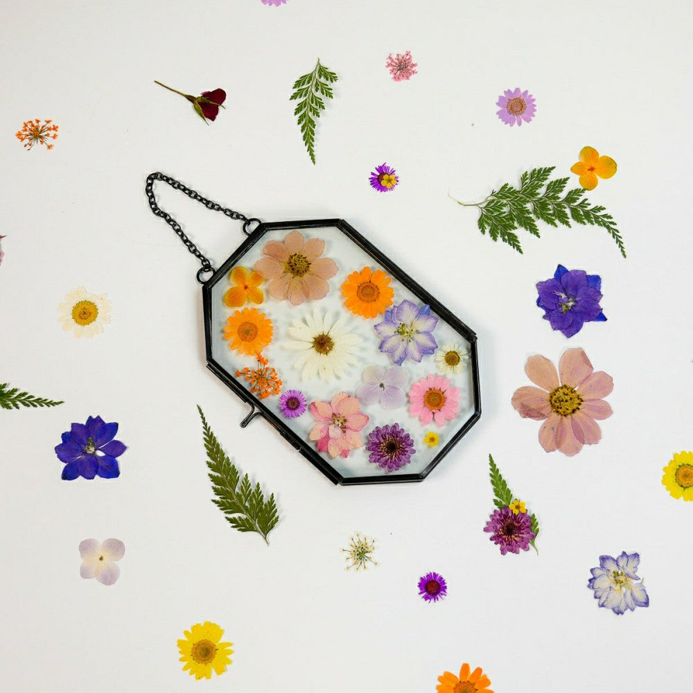 Plow & Hearth Framed Pressed Flowers Kit