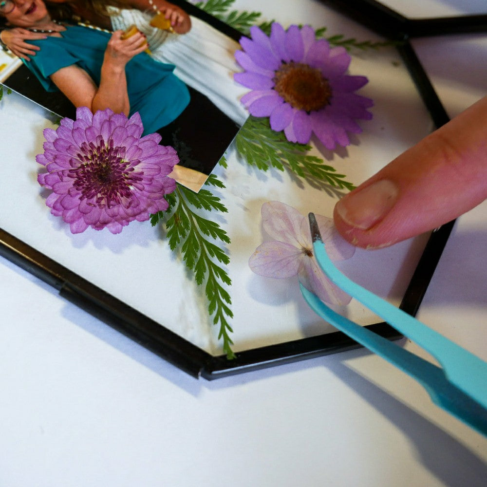 Plow & Hearth Framed Pressed Flowers Kit