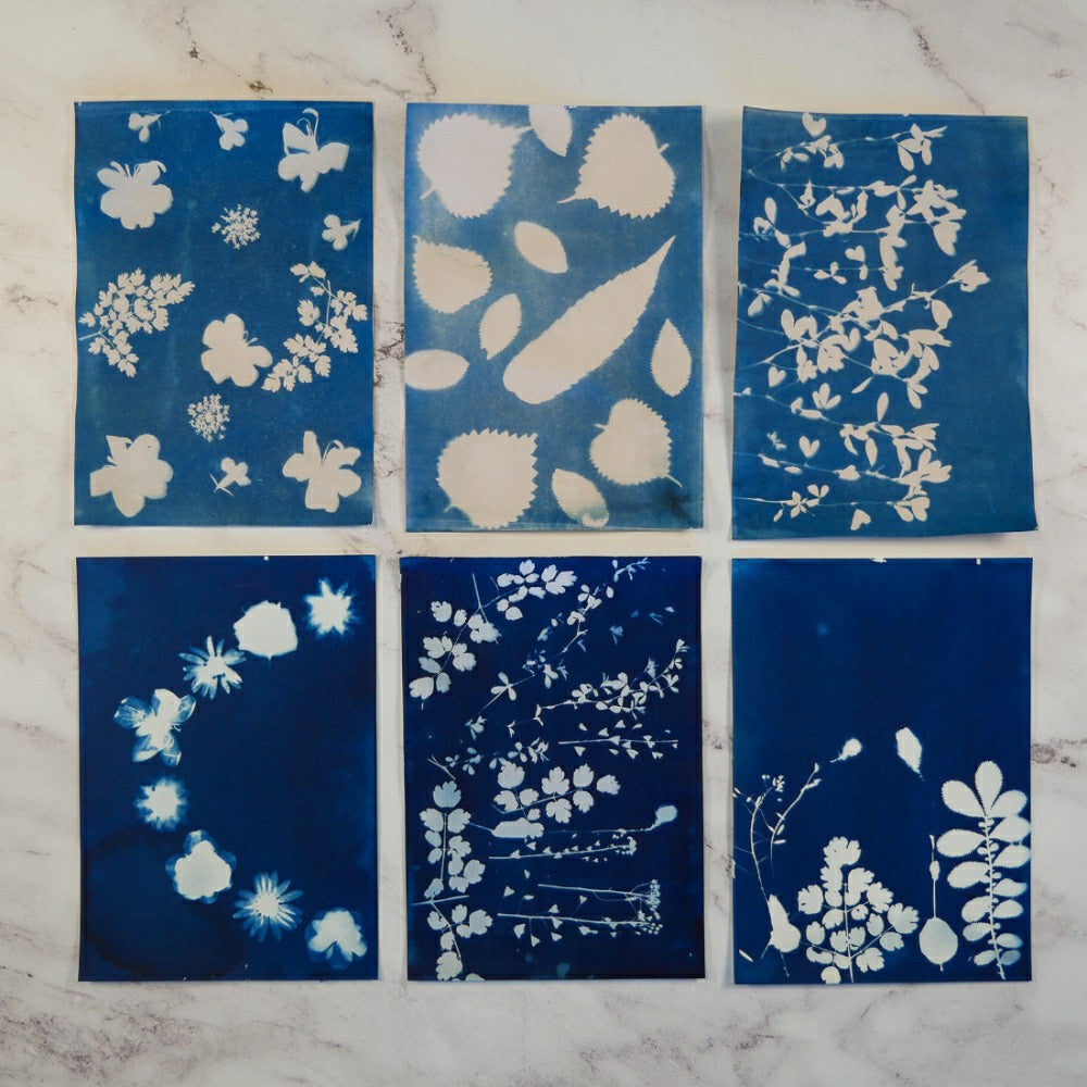 Plow & Hearth Cyanotype Kit