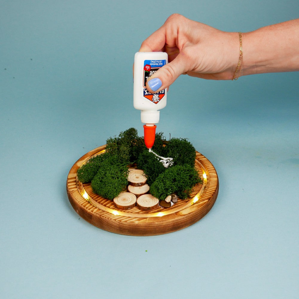 Plow & Hearth LED Fairy Garden Kit