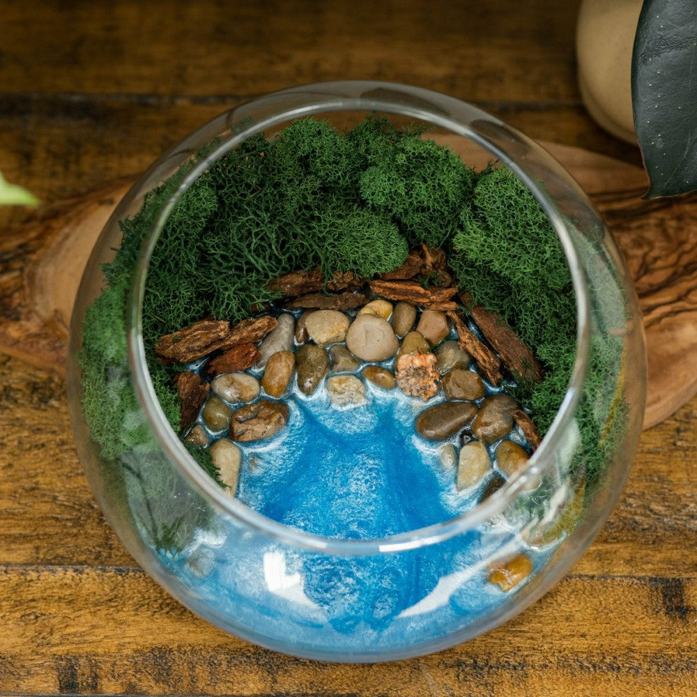 Plow & Hearth Resin Terrarium Kit