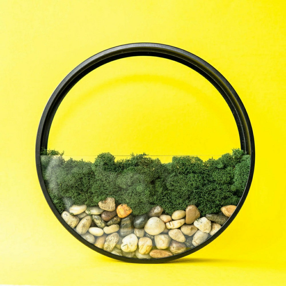 Plow & Hearth Wall Terrarium Kit