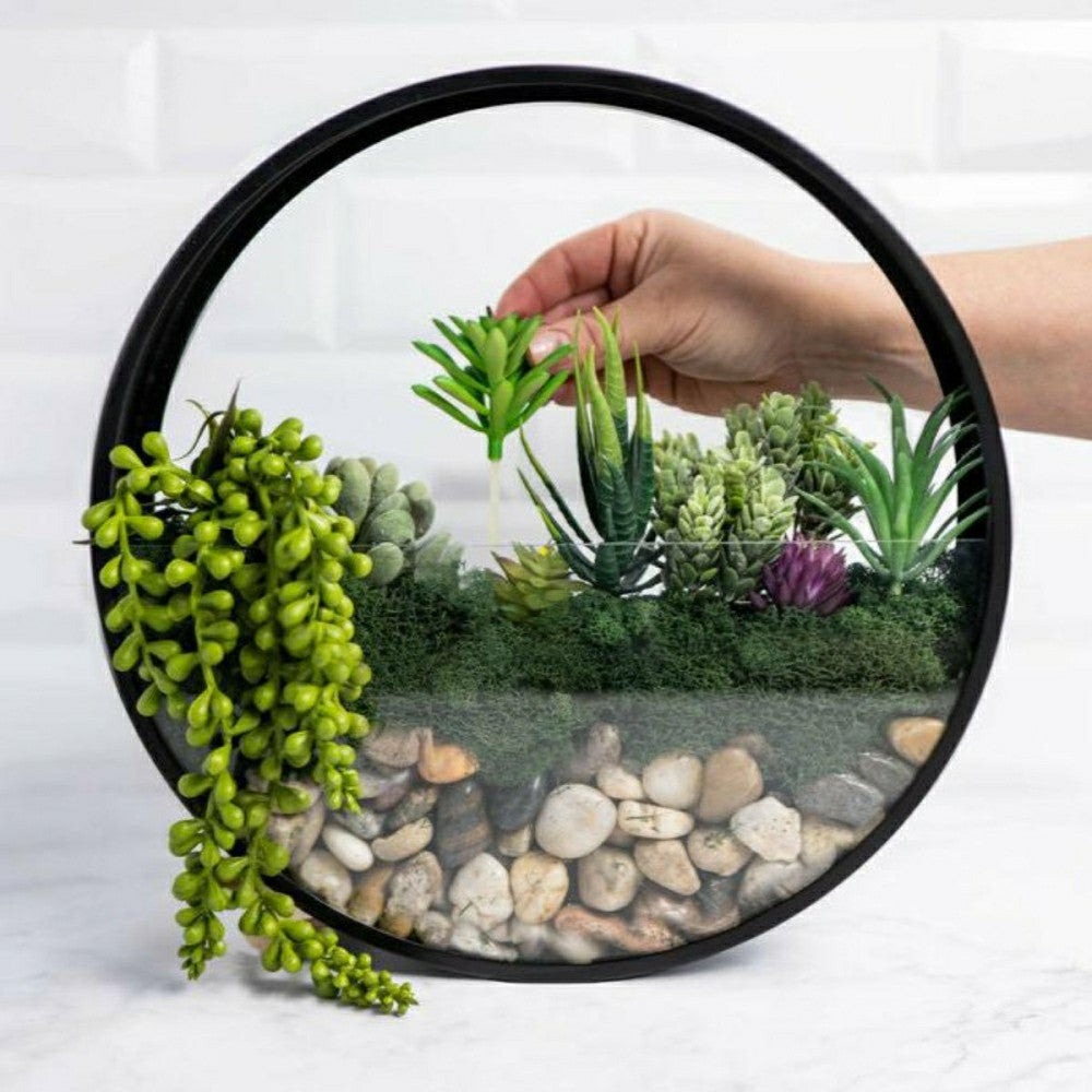 Plow & Hearth Wall Terrarium Kit