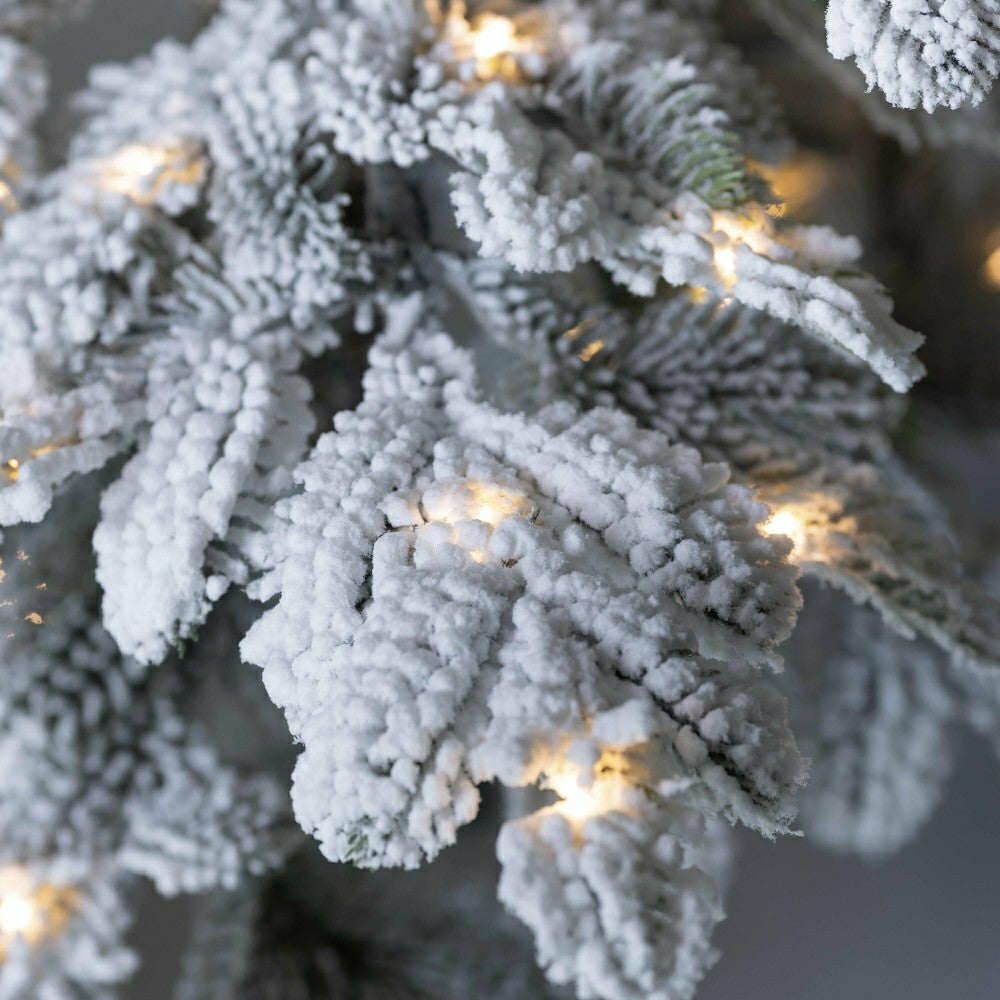 Plow & Hearth 6' Monte Rosa Flocked Alpine Fir Christmas Tree with 150 Warm White LE