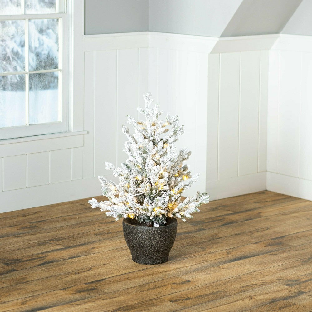 Plow & Hearth Indoor/Outdoor Flocked Roanoke Spruce Potted Tree with Warm White LEDs