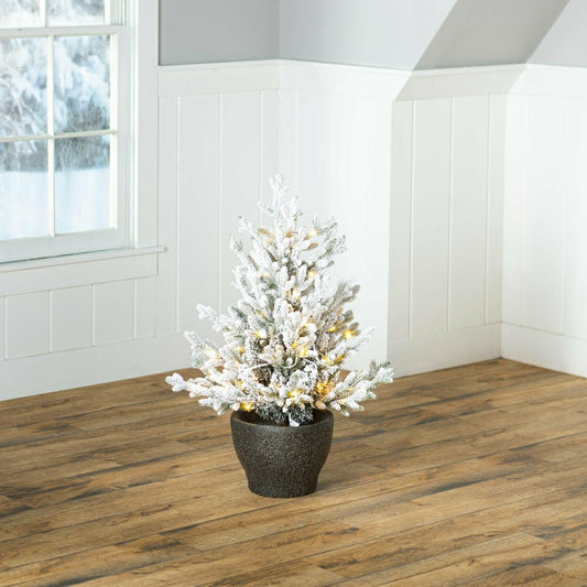 Plow & Hearth Indoor/Outdoor Flocked Roanoke Spruce Potted Tree with Warm White LEDs