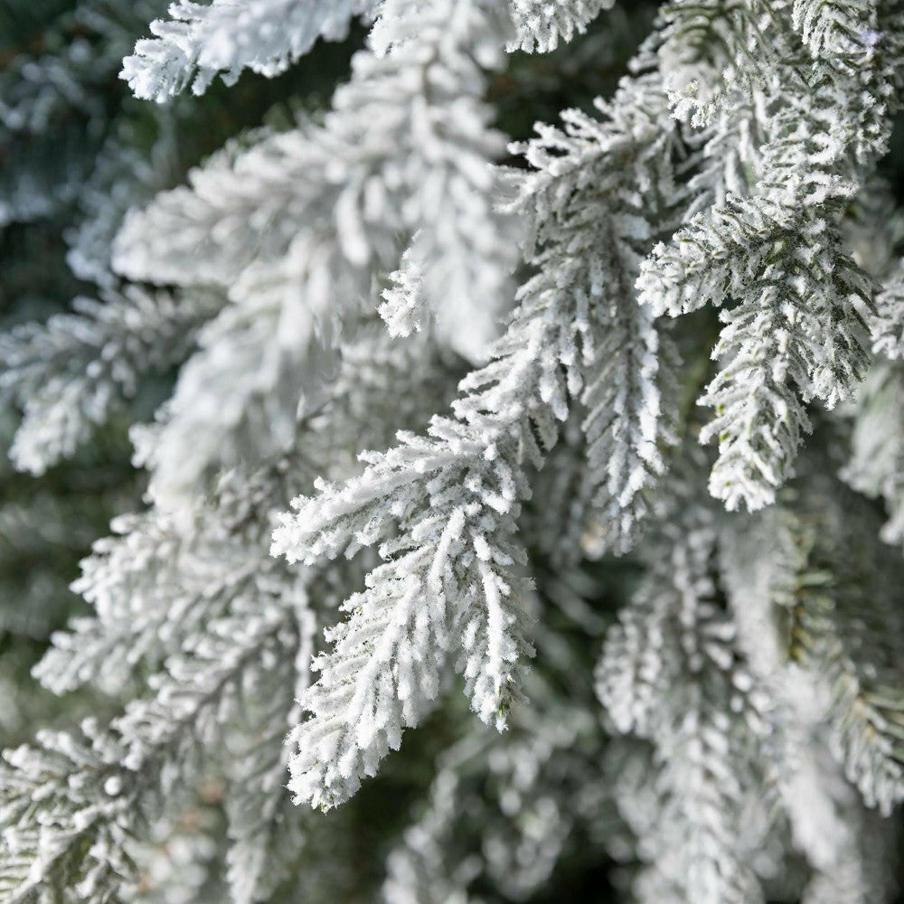 Plow & Hearth Indoor/Outdoor Flocked Roanoke Spruce Potted Tree with Warm White LEDs