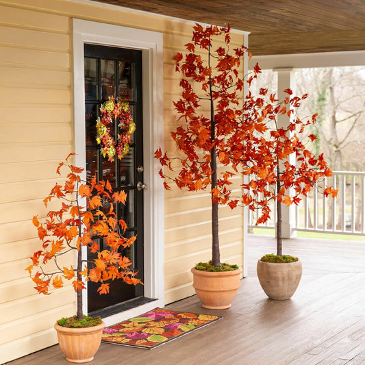 Plow & Hearth Indoor/Outdoor Electric Lighted Maple Tree, 6'H with 96 Lights
