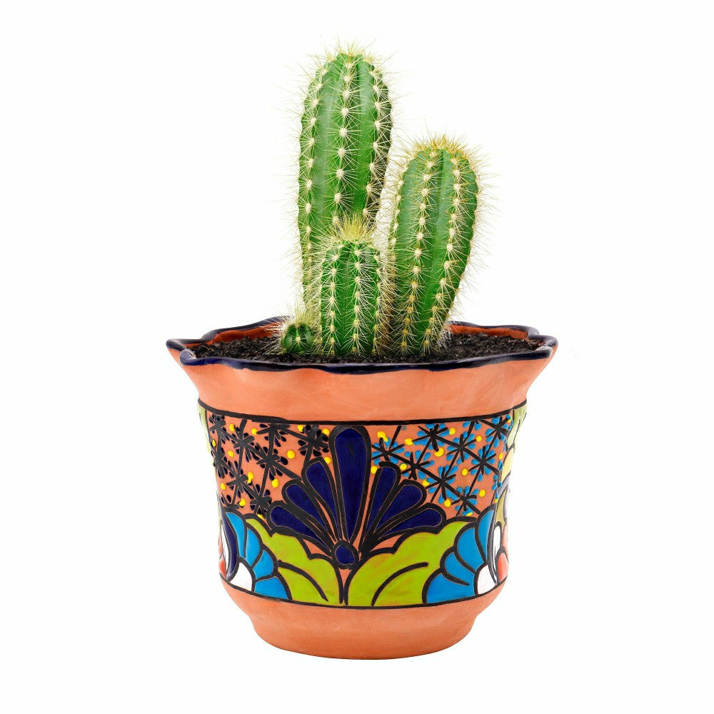 Plow & Hearth Medium Ripple Rim Talavera Flower Pot