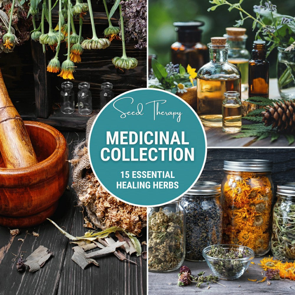 Plow & Hearth Medicinal Herb Seed Collection – 15 Varieties