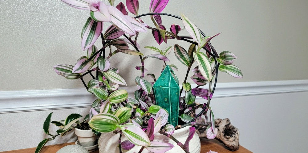Plow & Hearth Tall Crystal Plant Watering Spike