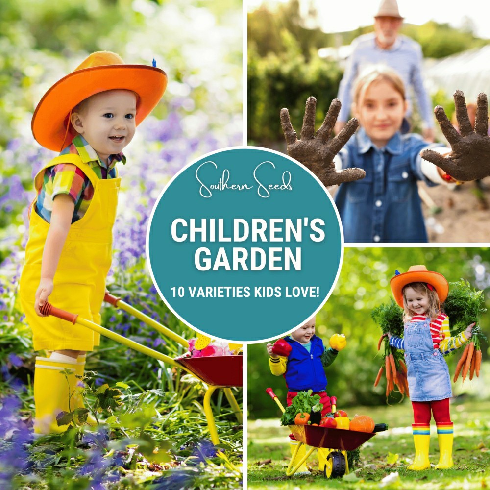 Plow & Hearth Kids Garden Seed Collection – 10 Varieties