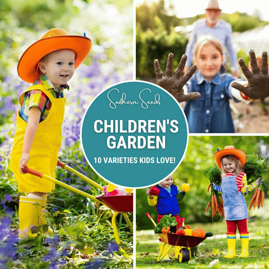 Plow & Hearth Kids Garden Seed Collection – 10 Varieties