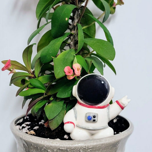 Plow & Hearth Ceramic Self-Watering Plant Spike - Astronaut Watering Spike