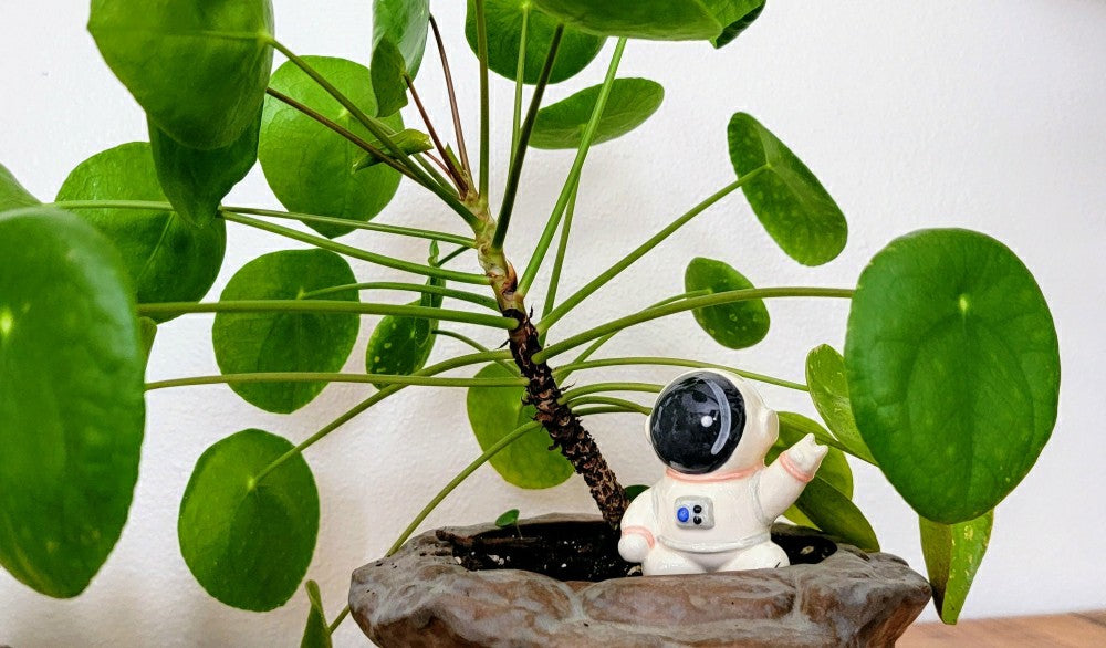 Plow & Hearth Ceramic Self-Watering Plant Spike - Astronaut Watering Spike