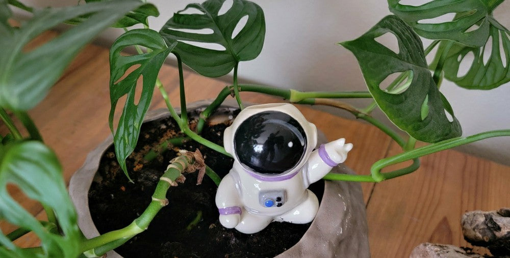 Plow & Hearth Ceramic Self-Watering Plant Spike - Astronaut Watering Spike