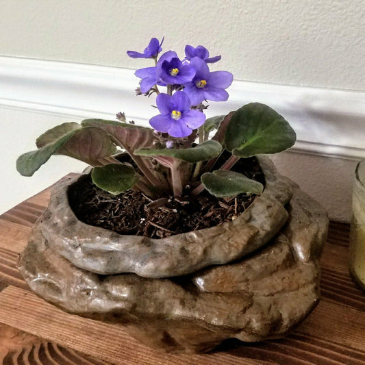 Plow & Hearth Large Natural Stone Self Watering / African Violet Pot