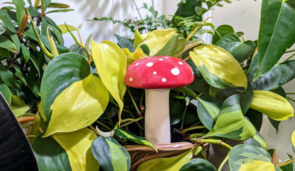 Plow & Hearth Large Mushroom Watering Spike
