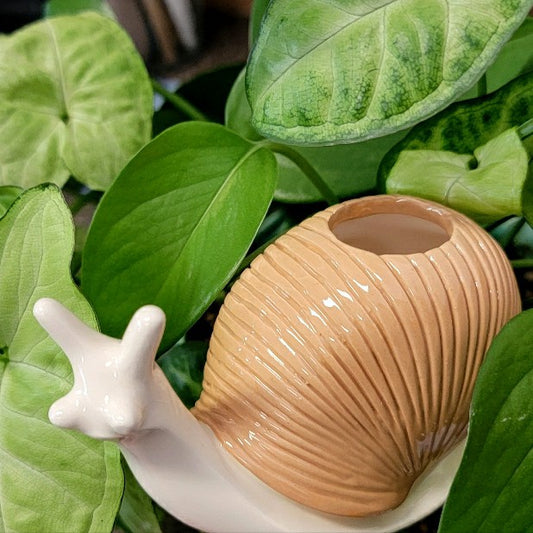 Plow & Hearth Snail Watering Spike