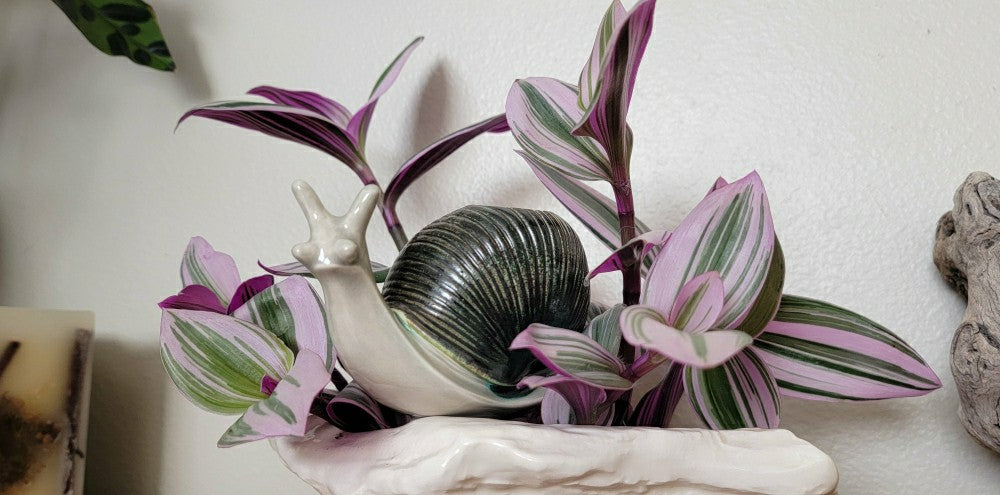 Plow & Hearth Snail Watering Spike