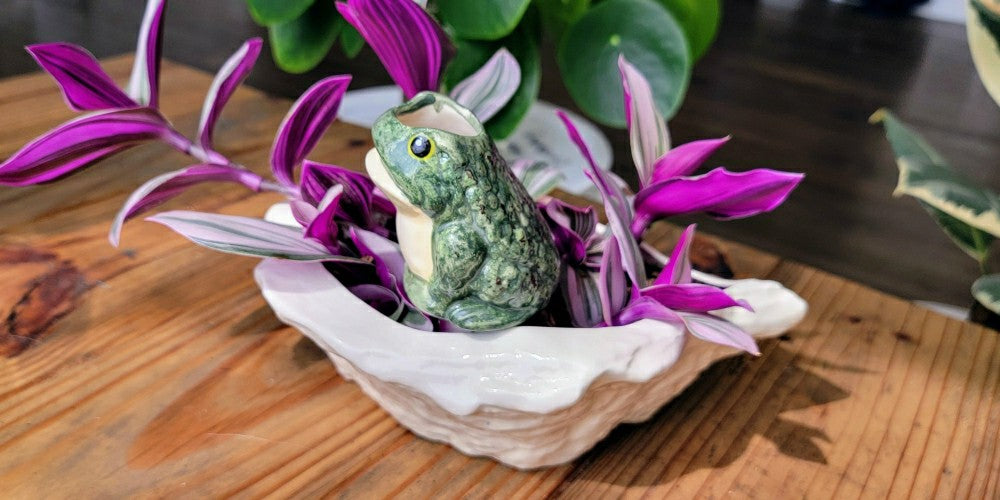 Plow & Hearth Frog Watering Spike