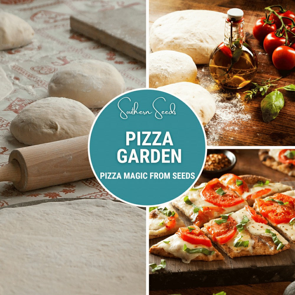 Plow & Hearth Pizza Garden Seed Collection – 10 Amazing Varieties