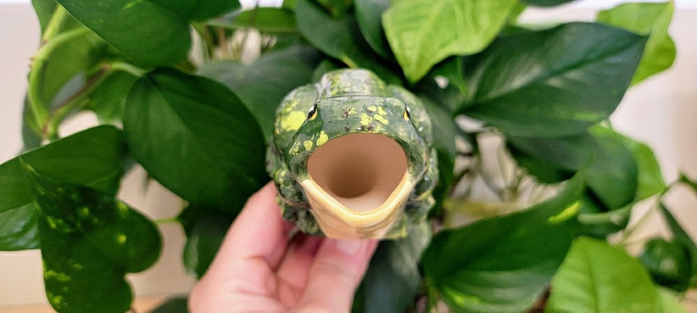 Plow & Hearth Open-Mouth Frog Plant Watering Spike