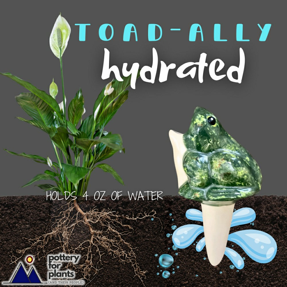 Plow & Hearth Open-Mouth Frog Plant Watering Spike