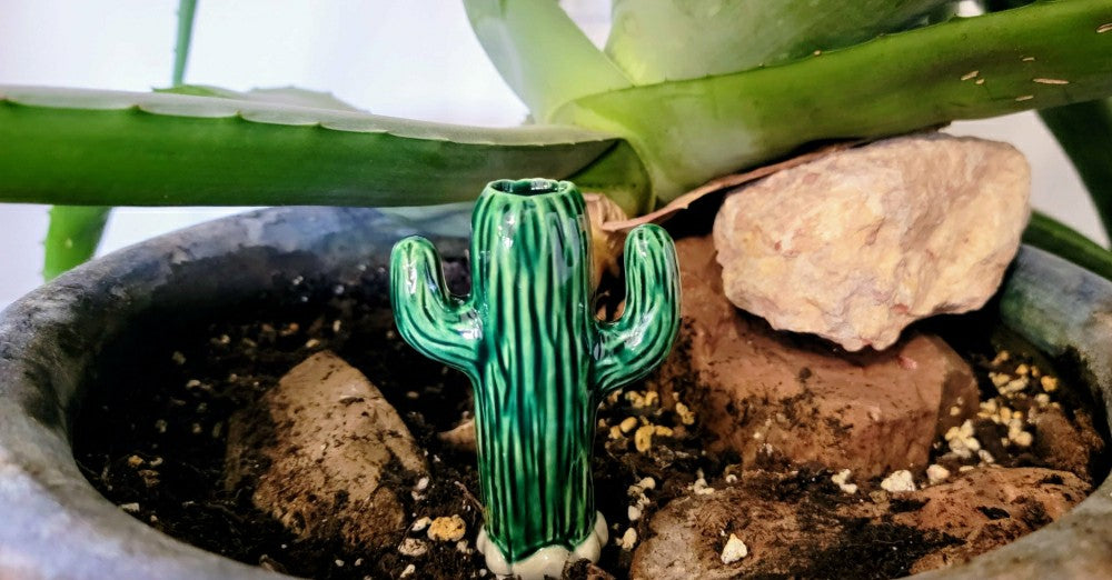 Plow & Hearth Cactus Watering Spike