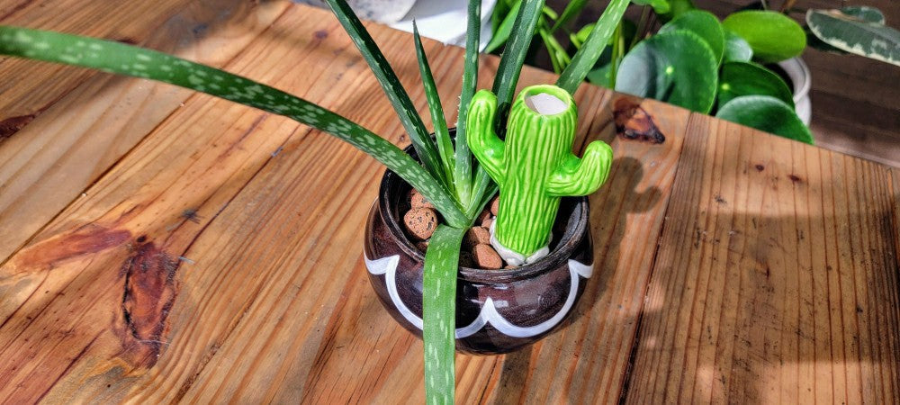 Plow & Hearth Cactus Watering Spike