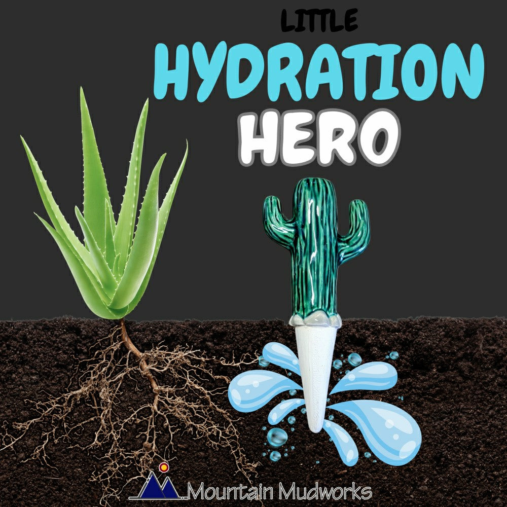 Plow & Hearth Cactus Watering Spike