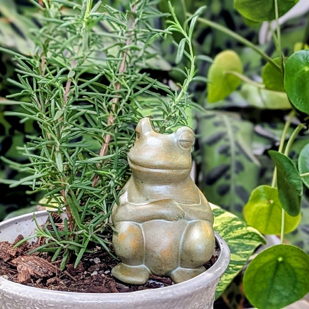 Plow & Hearth Chill Frog Watering Spike