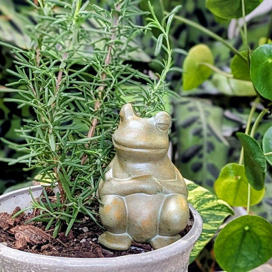 Plow & Hearth Chill Frog Watering Spike