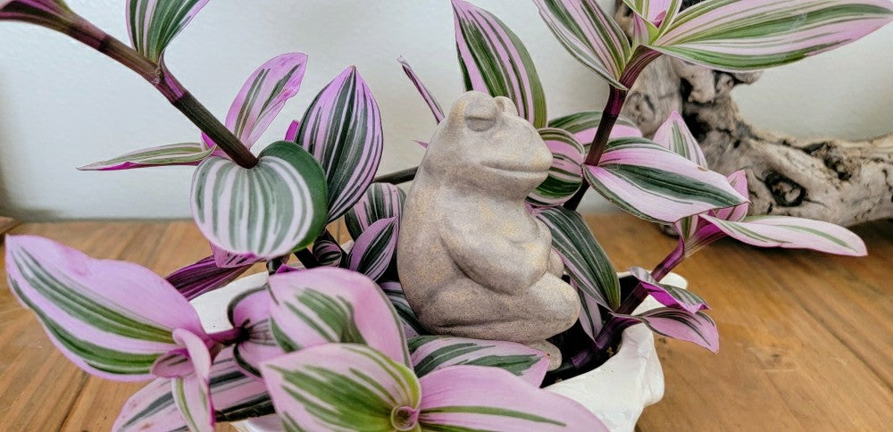 Plow & Hearth Chill Frog Watering Spike