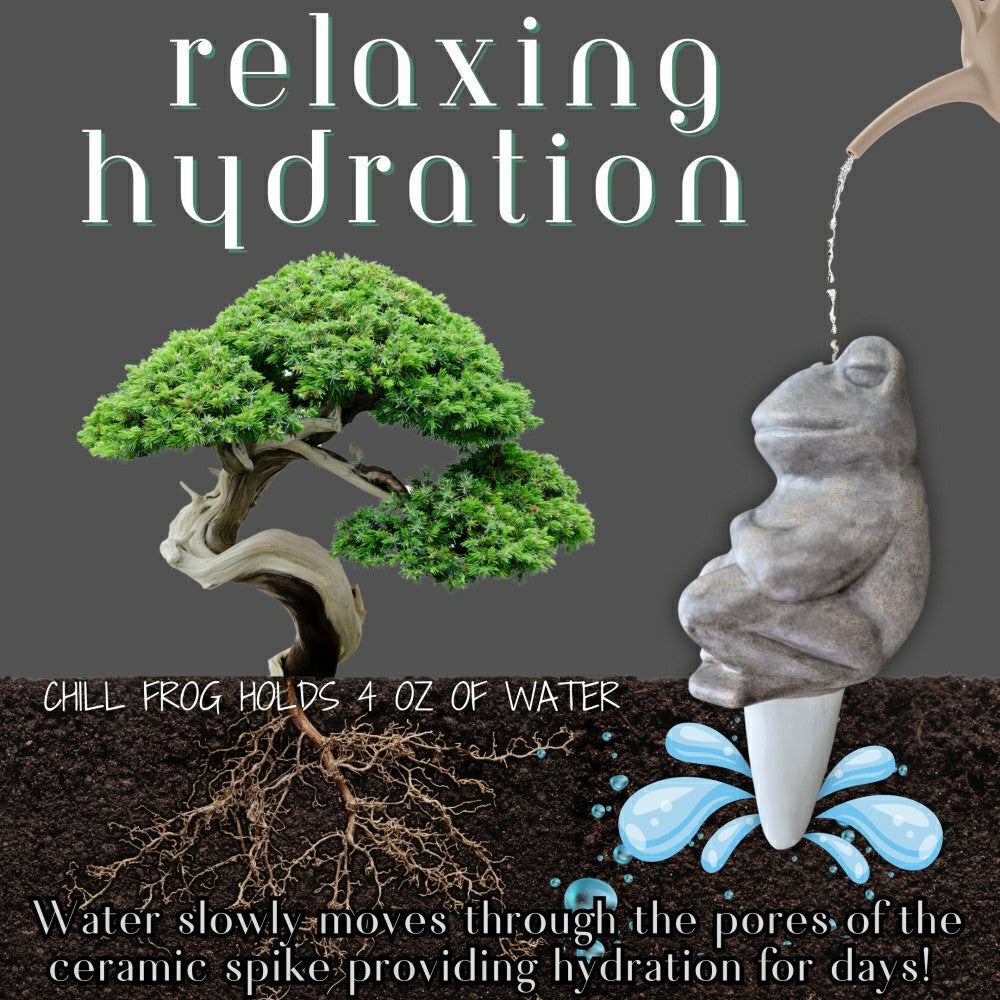 Plow & Hearth Chill Frog Watering Spike