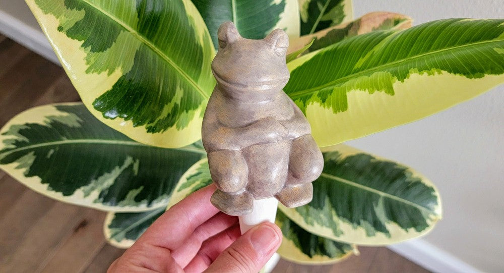 Plow & Hearth Chill Frog Watering Spike