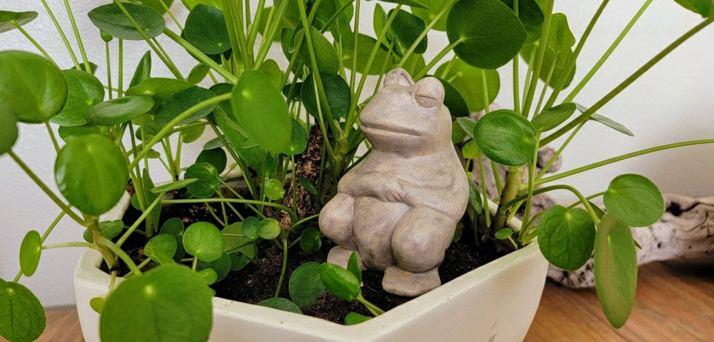Plow & Hearth Chill Frog Watering Spike
