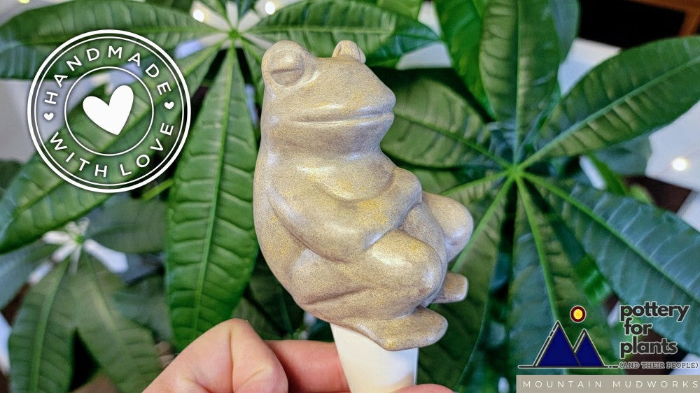 Plow & Hearth Chill Frog Watering Spike