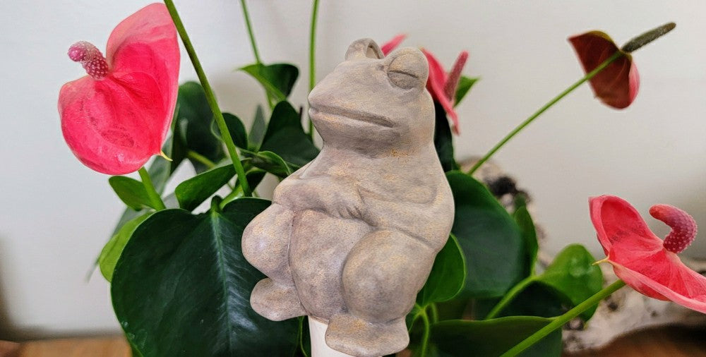 Plow & Hearth Chill Frog Watering Spike