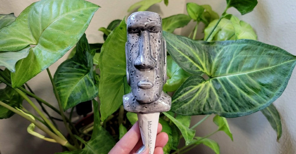Plow & Hearth Moai Watering Spike